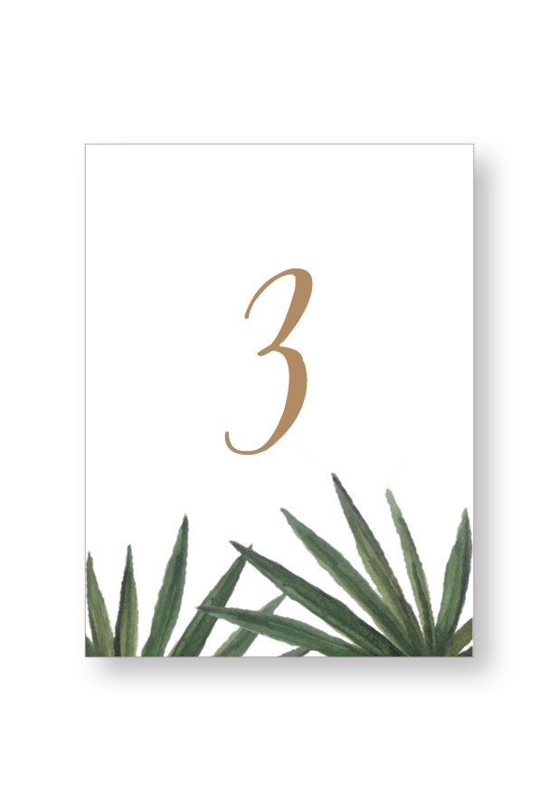 Palm Table Numbers | Paper Daisies Stationery